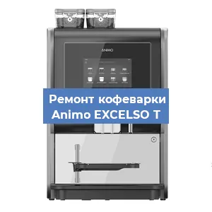 Чистка кофемашины Animo EXCELSO T от накипи в Красноярске